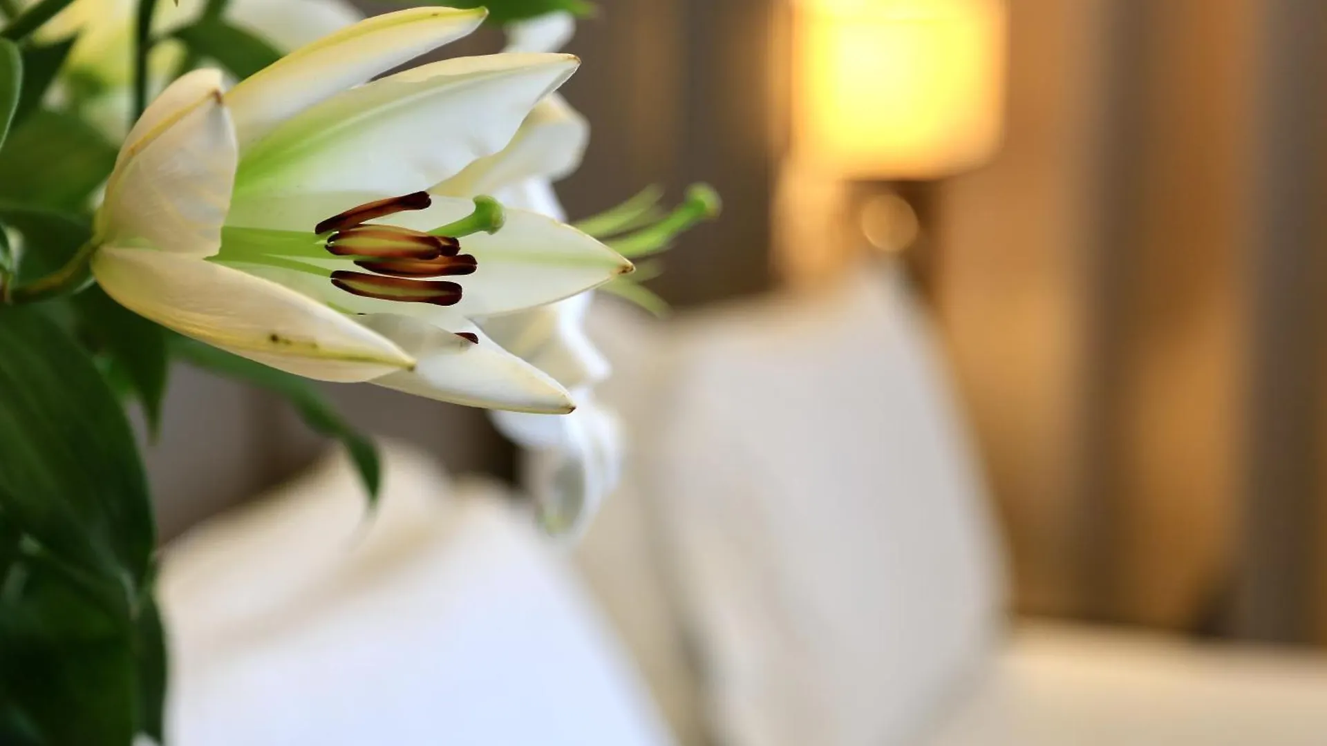 Klima Hotel Milano Fiere 4*, Milan Italy
